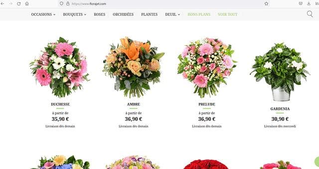 Page d’accueil du site Florajet